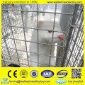 Mink/rabbit/bird breeding welded wire mesh cage with wooden box